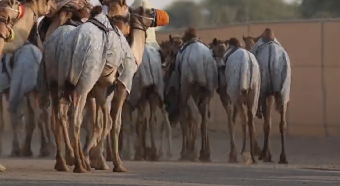 Al Marmoom Heritage Village