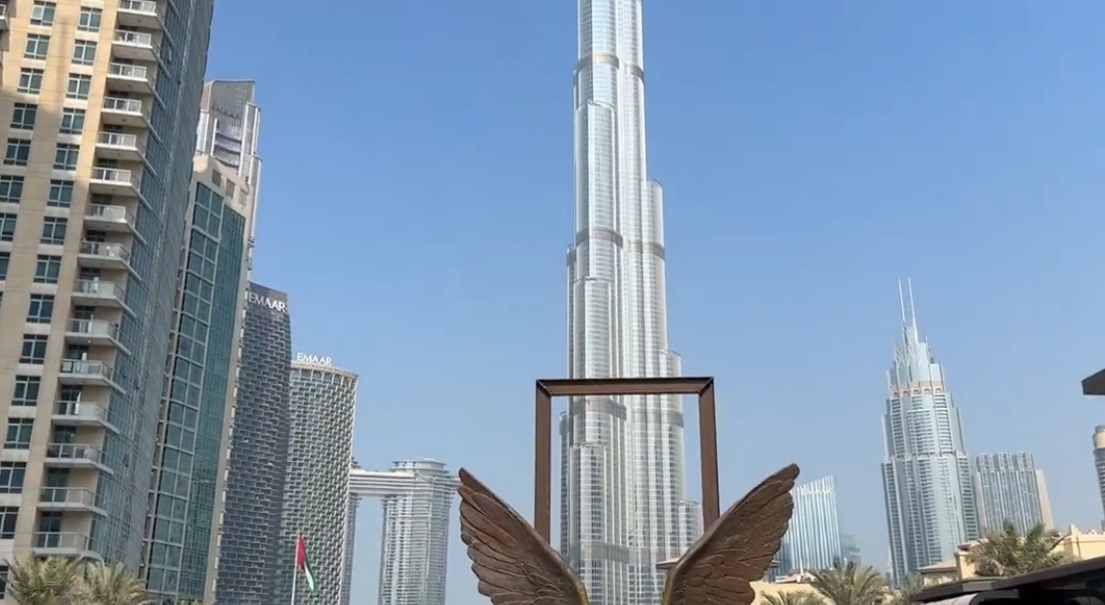 Wings of Mexico